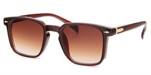 Falenti AE981-C2 49 Unisex Güneş Gözlüğü