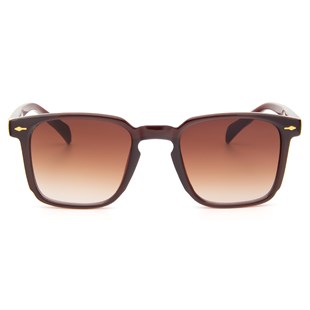 Falenti AE981-C2 49 Unisex Güneş Gözlüğü