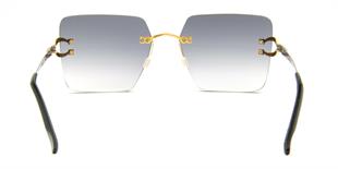 Falenti FL753214 55 Unisex Güneş Gözlüğü