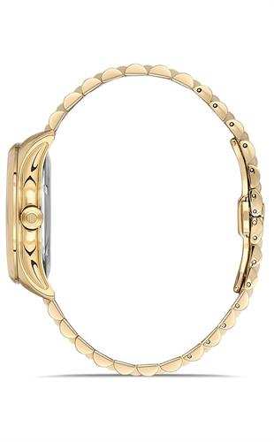 Hislon SD152G-04SG Otomatik Erkek Kol saati