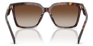 Michael Kors MK2256U 4031AO 55 Kadın Güneş Gözlüğü