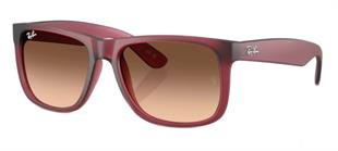 Ray-Ban RB4165 6815A5 55 Erkek Güneş Gözlüğü