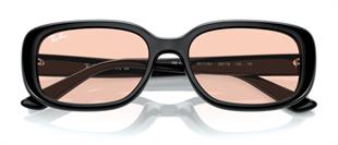 Ray-Ban RB4421D 667784 56 Kadın Güneş Gözlüğü