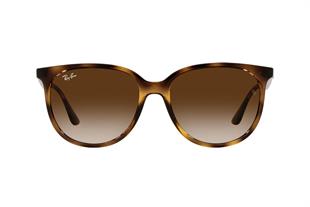 Ray-Ban RB4378 710/13 54 Kadın Güneş Gözlüğü