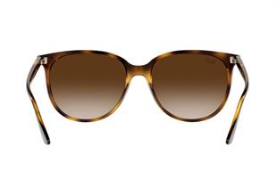 Ray-Ban RB4378 710/13 54 Kadın Güneş Gözlüğü