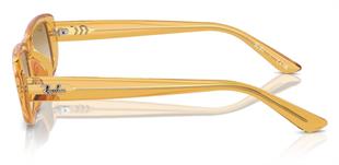 Ray-Ban RB4436D 668213 55 Kadın Güneş Gözlüğü
