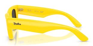 Ray-Ban RB4940 683087 47 A$AP ROCKY Unisex Güneş Gözlüğü