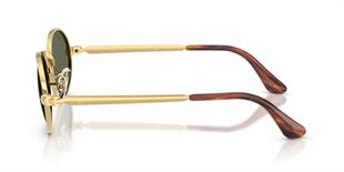 Ray-Ban RB3931 001/58 54 Polarize Unisex Güneş Gözlüğü