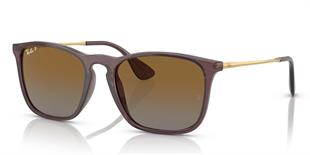 Ray-Ban RB4187 6593T5 54 Polarize Unisex Güneş Gözlüğü