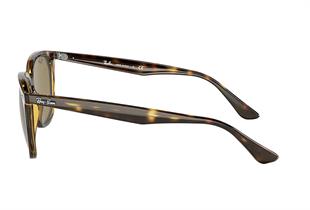 Ray-Ban RB4362 710/73 55 Unisex Güneş Gözlüğü