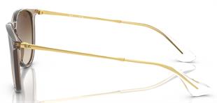 Ray-Ban RB4171 6744/13 54 Unisex Güneş Gözlüğü