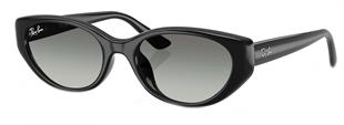 Ray-Ban RB4457D 667711 55 Unisex Güneş Gözlüğü