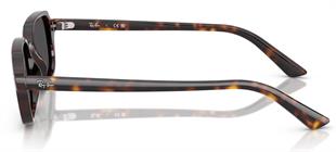 Ray-Ban RB4455 135987 49 Unisex Güneş Gözlüğü