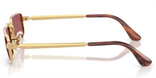 Ray-Ban RB3927 001/AF 54  A$AP ROCKY Polarize Unisex Güneş Gözlüğü