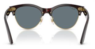 Ray-Ban RB2341 990/3R 54 Polarize Unisex Güneş Gözlüğü