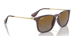 Ray-Ban RB4187 6593T5 54 Polarize Unisex Güneş Gözlüğü