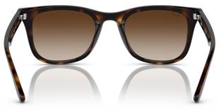 Ray-Ban RB4420 710/13 65 Unisex Güneş Gözlüğü