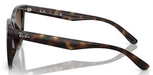 Ray-Ban RB4420 710/13 65 Unisex Güneş Gözlüğü