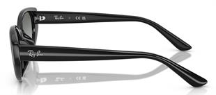 Ray-Ban RB4457D 667711 55 Unisex Güneş Gözlüğü