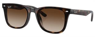 Ray-Ban RB4420 710/13 65 Unisex Güneş Gözlüğü