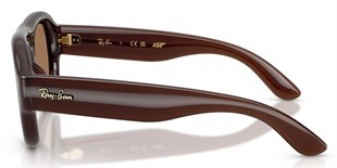Ray-Ban RB4925 6896/73 52 A$AP ROCKY Unisex Güneş Gözlüğü