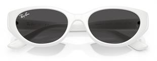 Ray-Ban RB4457D 677287 55 Unisex Güneş Gözlüğü
