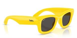 Ray-Ban RB4940 683087 47 A$AP ROCKY Unisex Güneş Gözlüğü
