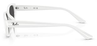 Ray-Ban RB4457D 677287 55 Unisex Güneş Gözlüğü