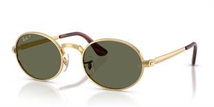 Ray-Ban RB3931 001/58 54 Polarize Unisex Güneş Gözlüğü