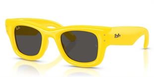 Ray-Ban RB4940 683087 47 A$AP ROCKY Unisex Güneş Gözlüğü