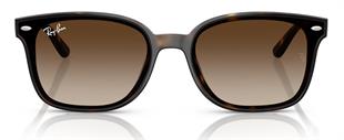 Ray-Ban RB4461D 710/13 64 Unisex Güneş Gözlüğü