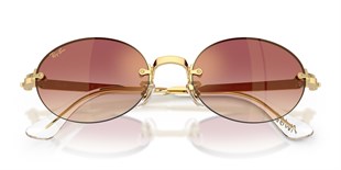 Ray-Ban RB3929 001/8H 54 A$AP ROCKY Unisex Güneş Gözlüğü