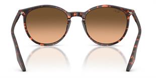 Ray-Ban RB2204 1429/3B 51 Unisex Güneş Gözlüğü