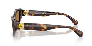 Swarovski SK6045U 100273 55 Kadın Güneş Gözlüğü