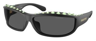 Swarovski SK6009 102087 73 Kadın Güneş Gözlüğü