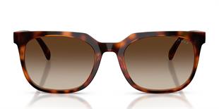 Vogue V05715SI W65613 54 Erkek Güneş Gözlüğü