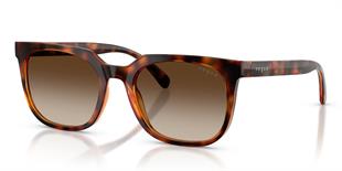 Vogue V05715SI W65613 54 Erkek Güneş Gözlüğü