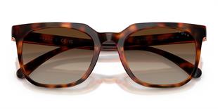 Vogue V05715SI W65613 54 Erkek Güneş Gözlüğü