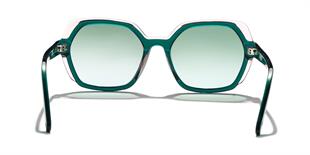 Zen Milano Eyewear YD1190-C2 55 Kadın Güneş Gözlüğü