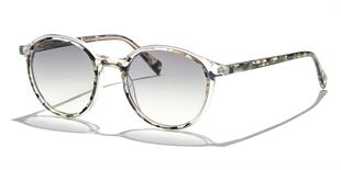 Zen Milano Eyewear YHP8106-C4 50 Unisex Güneş Gözlüğü