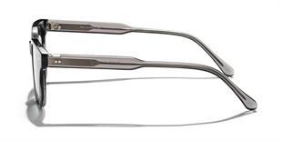 Zen Milano Eyewear LT4007-C4 50 Unisex Güneş Gözlüğü