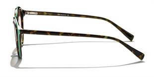 Zen Milano Eyewear YHP8106-C1 50 Unisex Güneş Gözlüğü