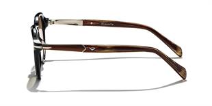 Zen Milano Eyewear ZM2483-C04 51 Unisex Güneş Gözlüğü