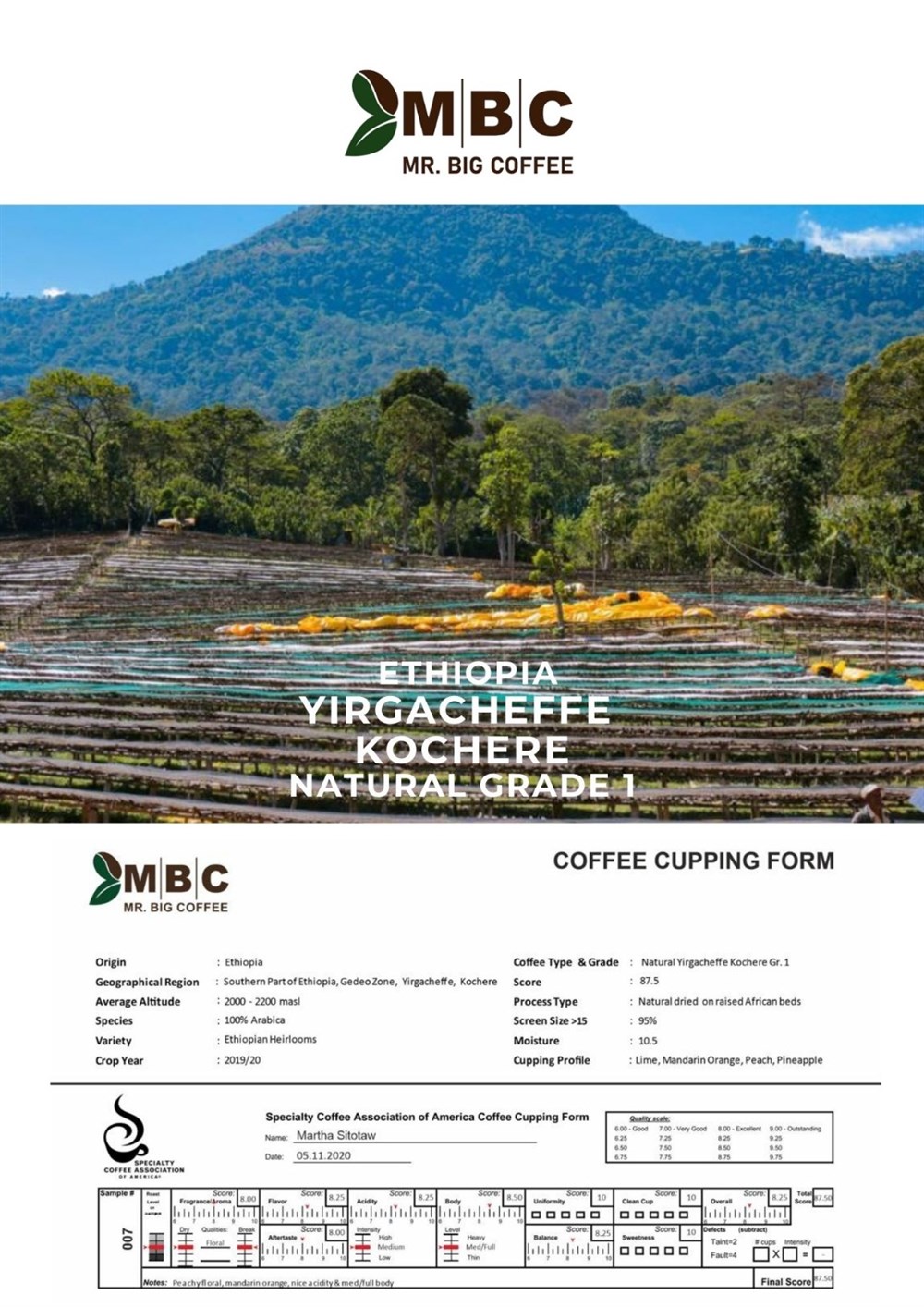 Etiyopya Yirgacheffe, Kochere