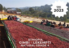 Etiyopya, Lekempti, Grade4