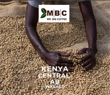 KENYA CENTRAL AB