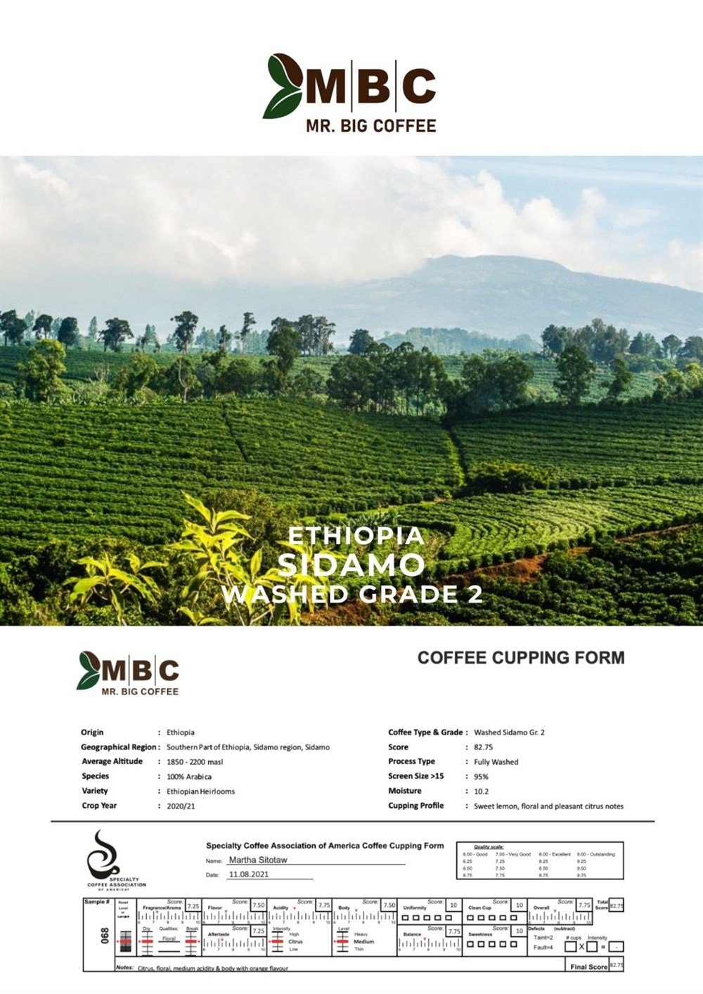 Etiyopya Sidamo 