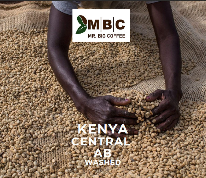 KENYA CENTRAL AB