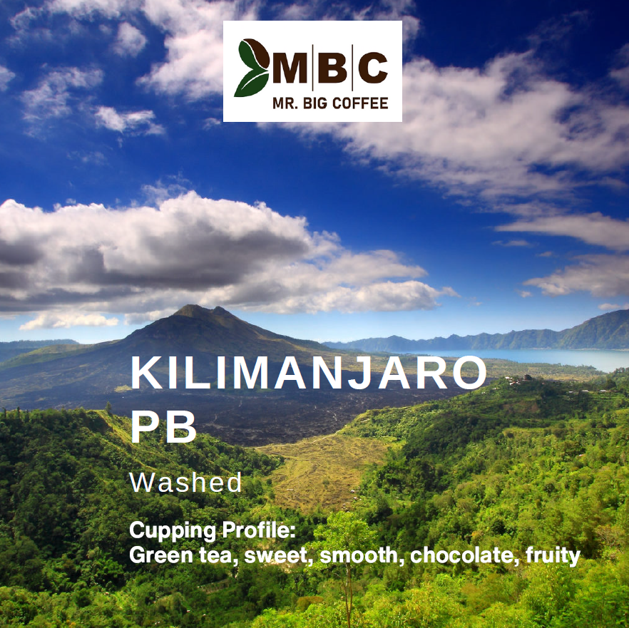 Tanzanya , Kilimanjaro Moshi PB