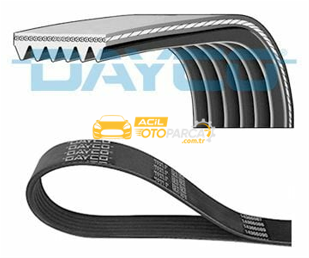 Audi DAYCO 6PK1580S | Kanallı Kayış 6Pk1580